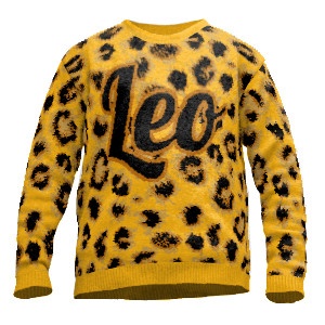 Bild von pullover leo leopardjpg | Individuelle 🎁 persönliche 🎁 personalisierte Geschenke bedruckt ▪ bestickt ▪ graviert