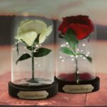 Bild von ewige rose im glas mit personajpg | Individuelle 🎁 persönliche 🎁 personalisierte Geschenke bedruckt ▪ bestickt ▪ graviert