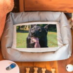 Bild von tierbett mit wunschfotojpg | Individuelle 🎁 persönliche 🎁 personalisierte Geschenke bedruckt ▪ bestickt ▪ graviert