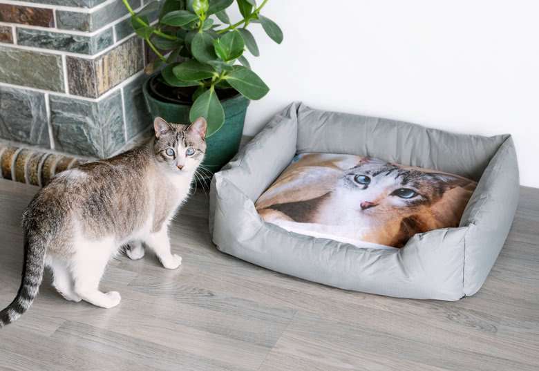 Bild von   tierbett personalisiert xjpg | Individuelle 🎁 persönliche 🎁 personalisierte Geschenke bedruckt ▪ bestickt ▪ graviert